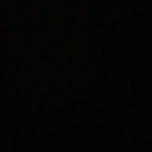 Meet your Posher, Ava